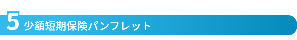 少額短期保険パンフレット